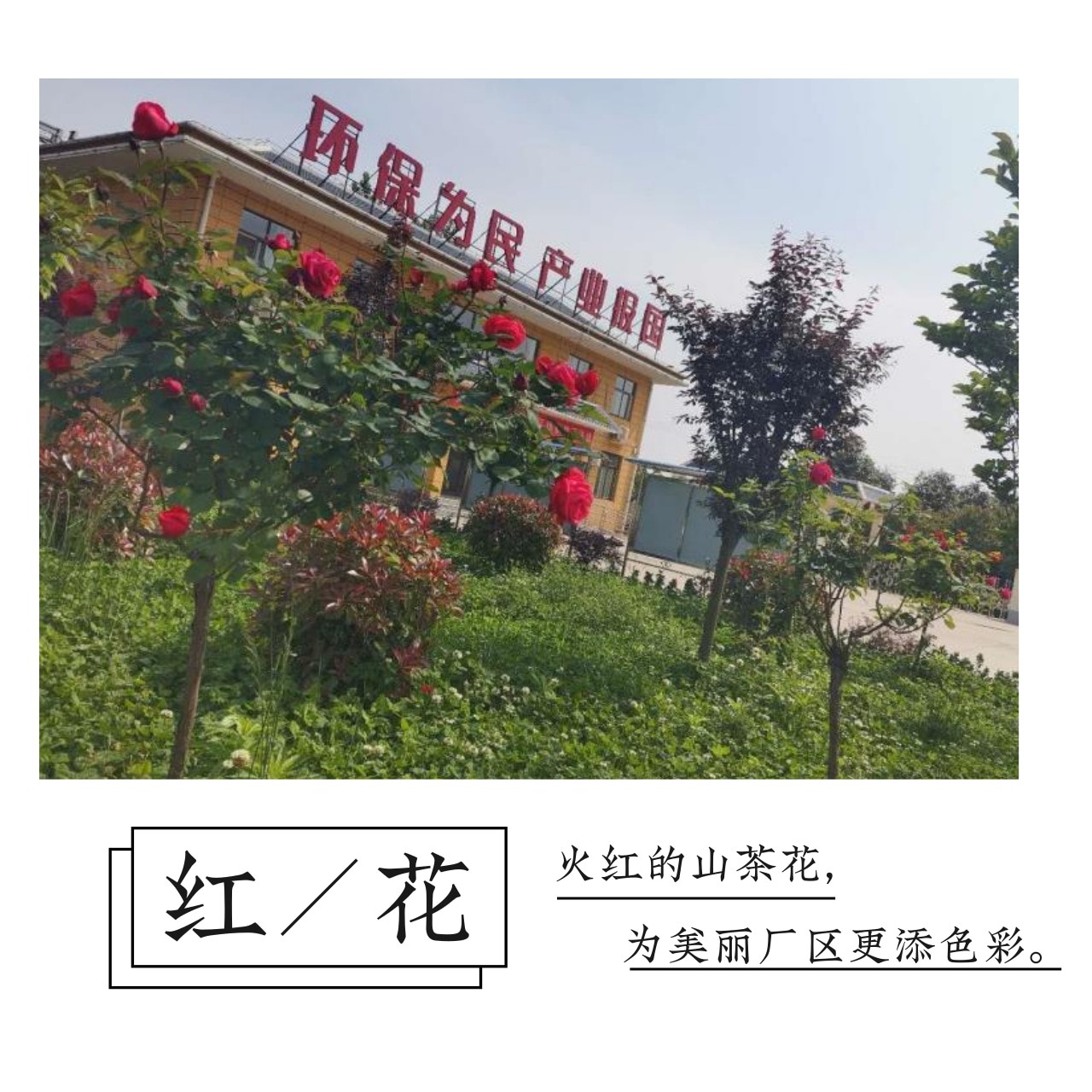 uwin电竞·(中国集团)官方网站