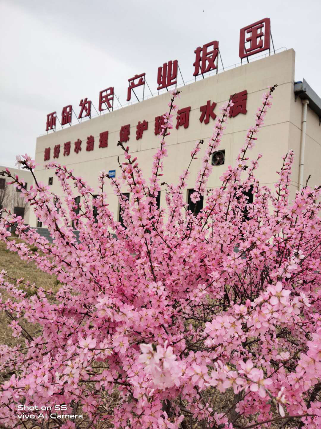 uwin电竞·(中国集团)官方网站