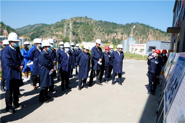 uwin电竞集团复工复产促增添项目观摩聚会与会职员走进环保保隆生态三秦在延在铜项目