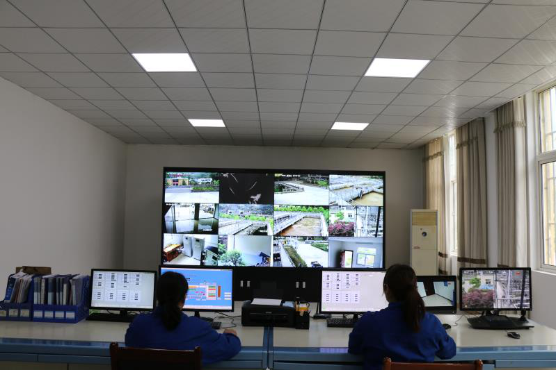 这个端午节，，，，，，水情形人这么过（二）