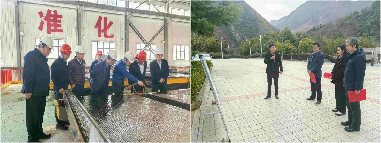 uwin电竞集团外部董事赴鼎丰矿业公司、水情形公司镇安污水处理厂调研指导事情