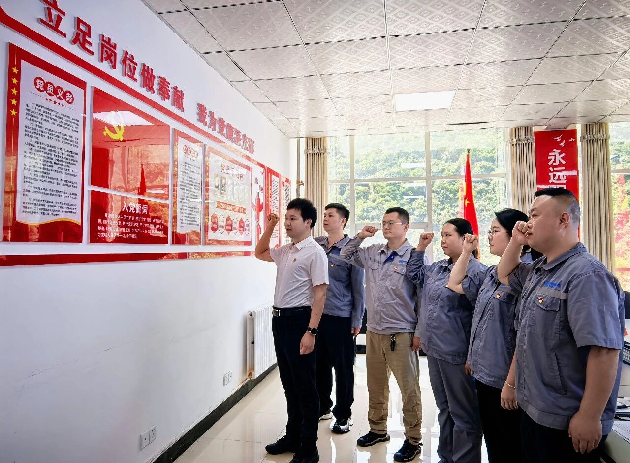 水情形公司陕南片区联合党支部开展主题党日暨专题党课活动